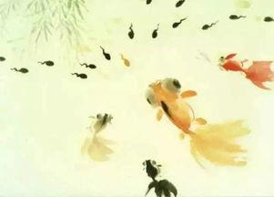 蝌蚪网国产,蝌蚪网引领绿色科技新潮流